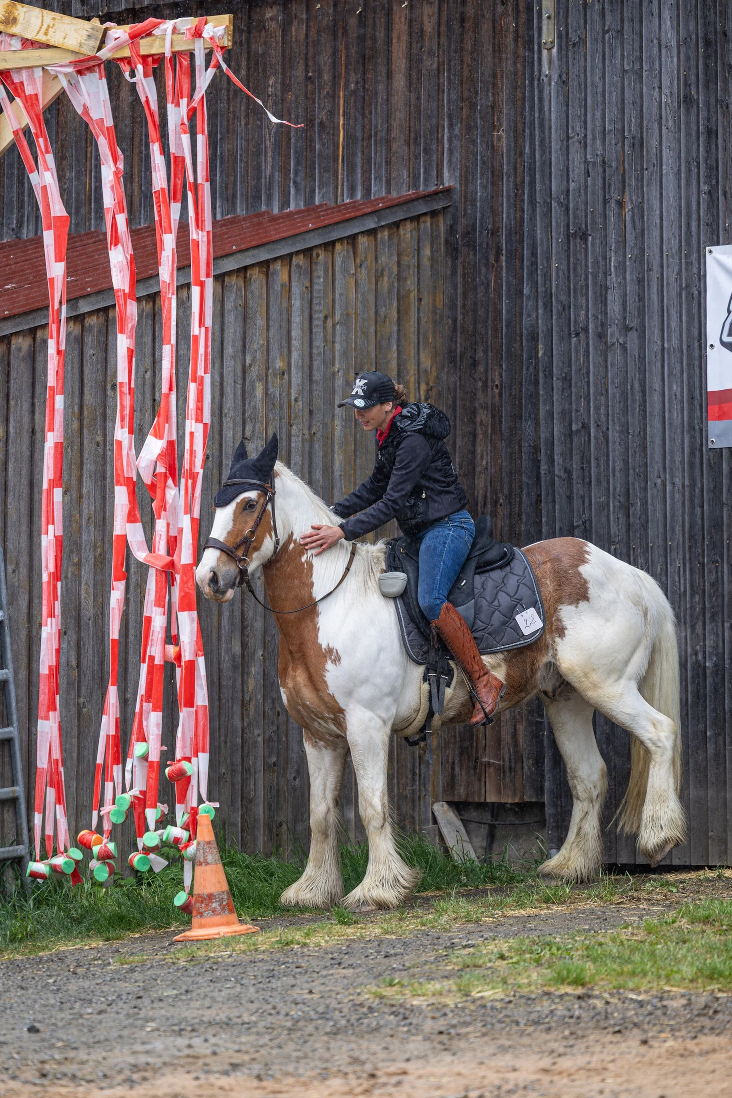 Pferdetraining mit Ramona Gebhardt