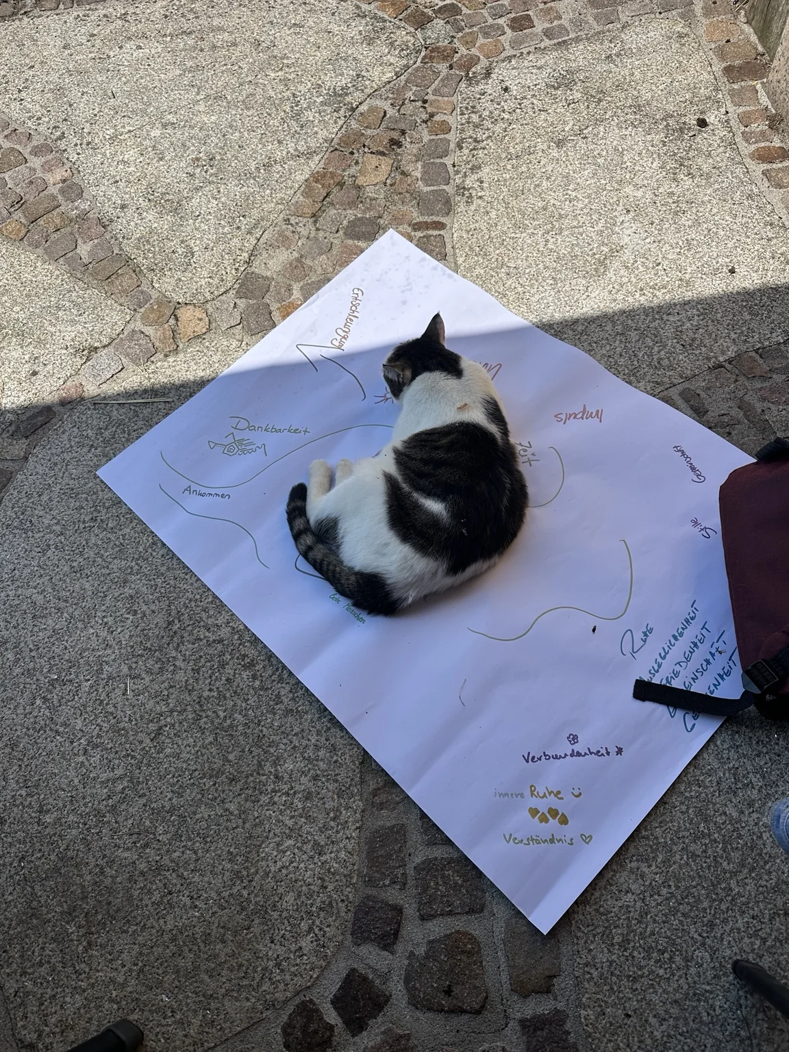 Katze auf dem gemeinsam gestalteten Plakat