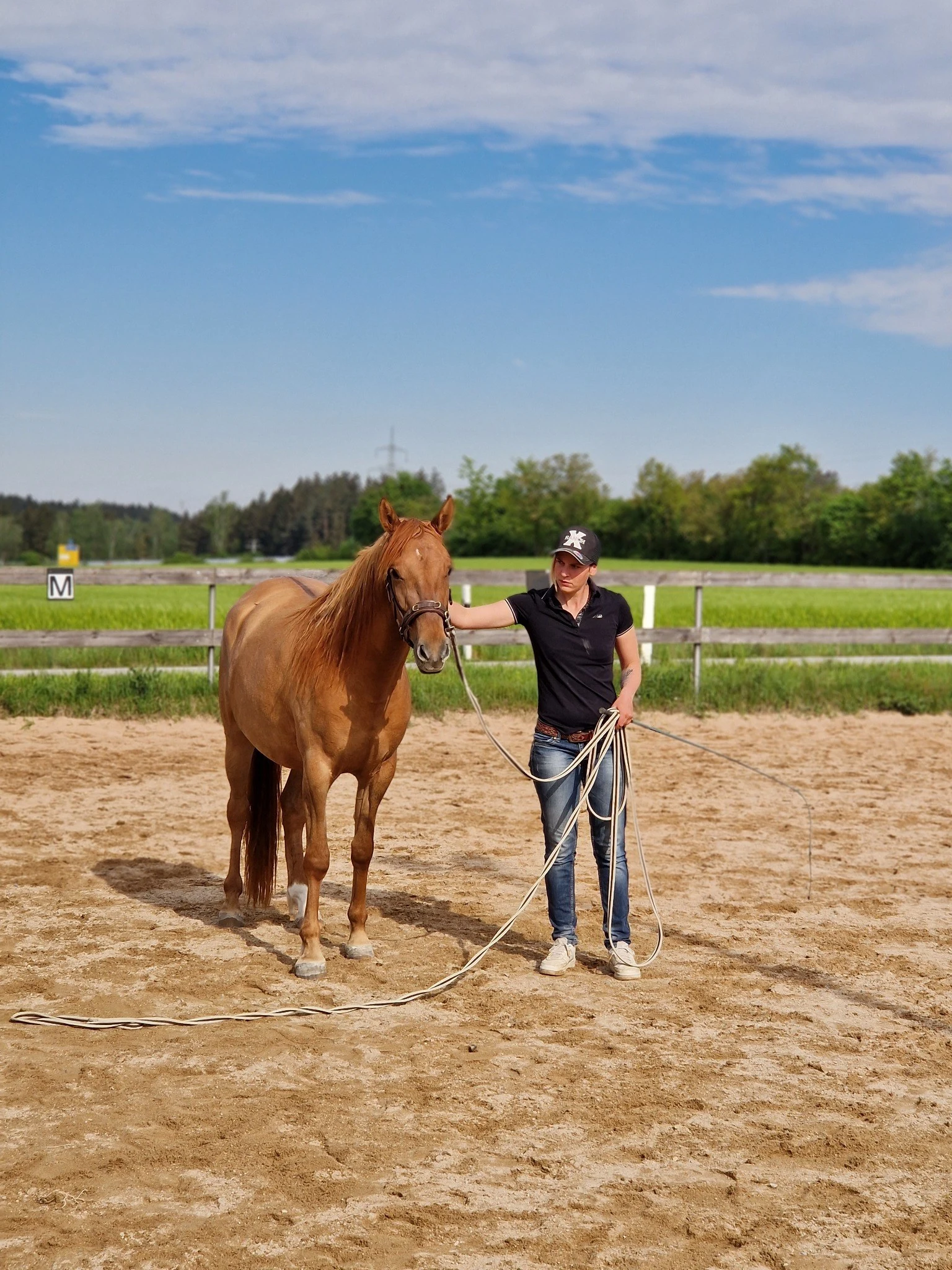 Ramona Gebhardt mit jungem Pferd